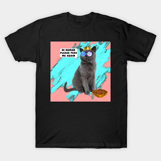 CAT HI HUMAN FEED ME T-Shirt by WHERE’S THE BANANA SHIRT